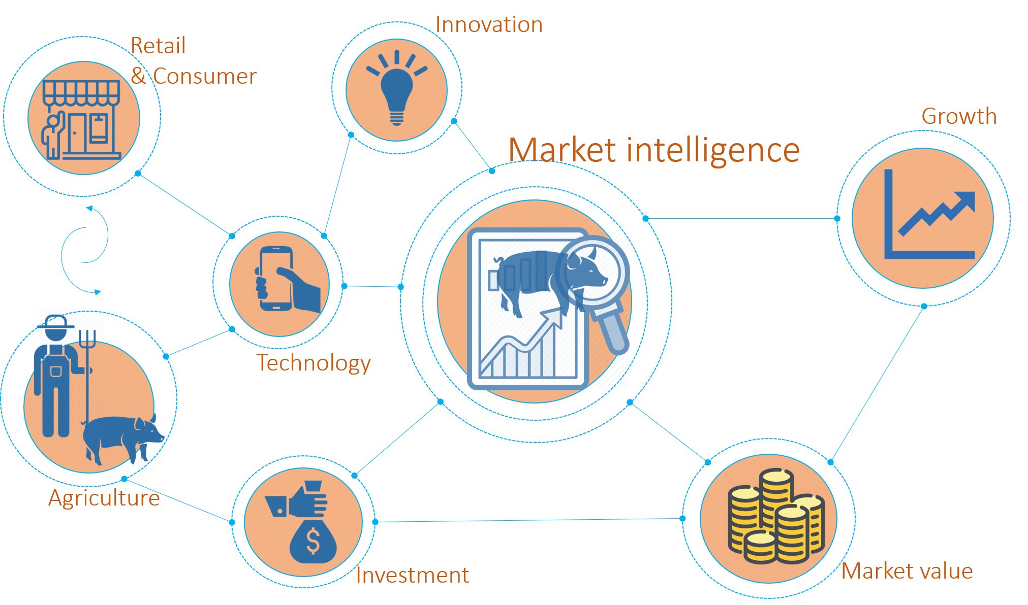 Value Chain